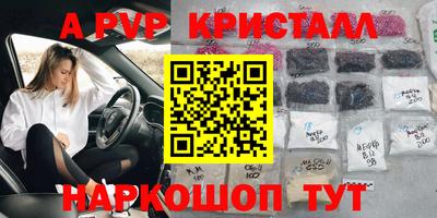 прущие грибы Будённовск