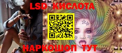 прущие грибы Будённовск