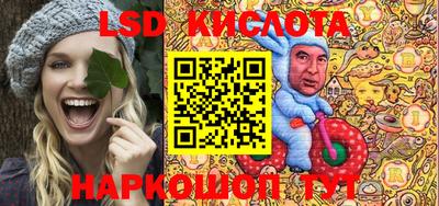 прущие грибы Будённовск