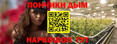 прущие грибы Будённовск