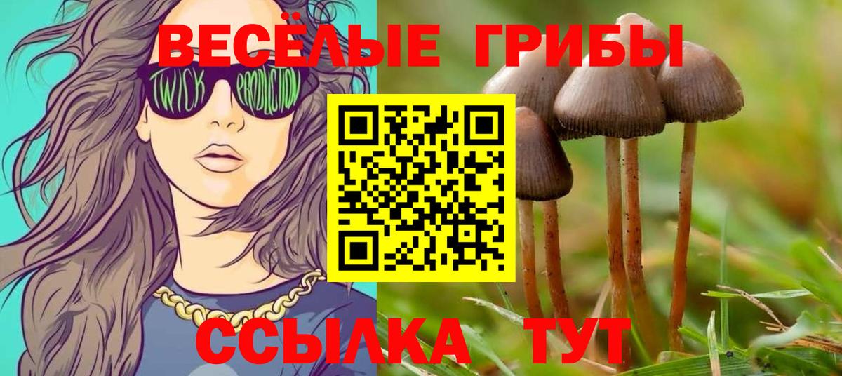 купить  сайты  Галлюциногенные грибы ЛСД  Вход с VPN  Кузнецк 
